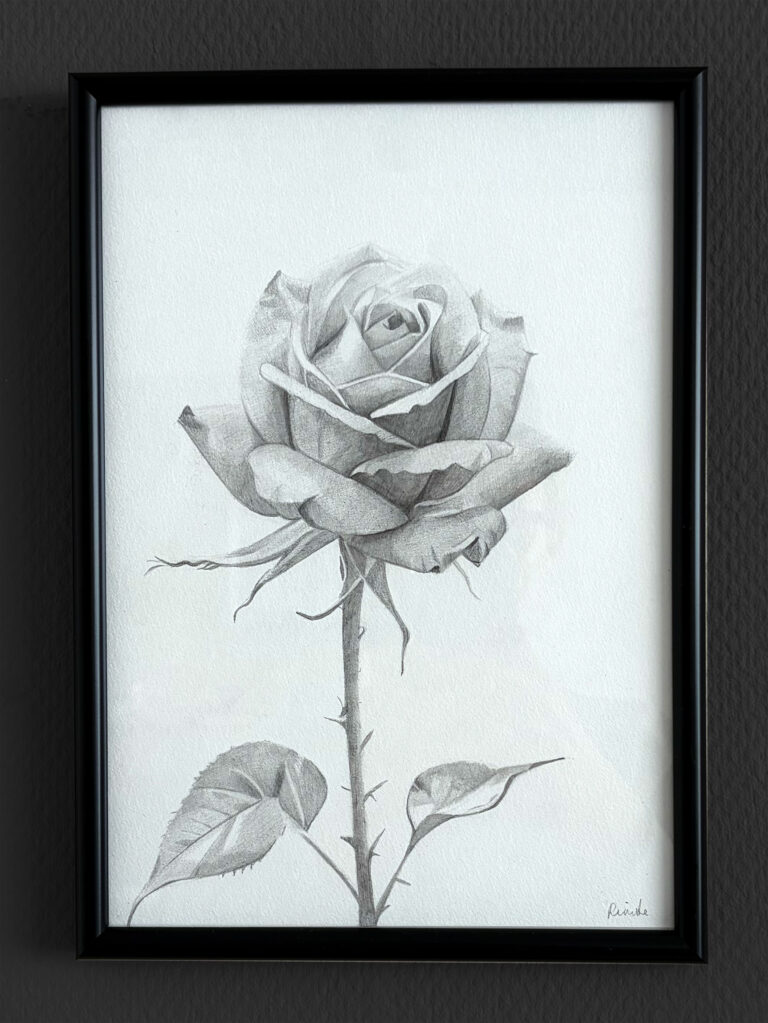 roos-tekening